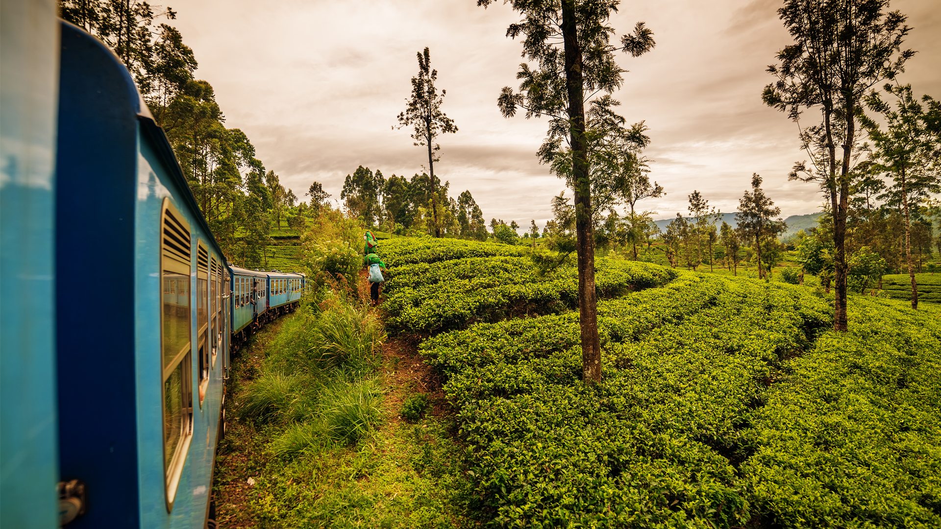 Grand Sri Lankan Expedition