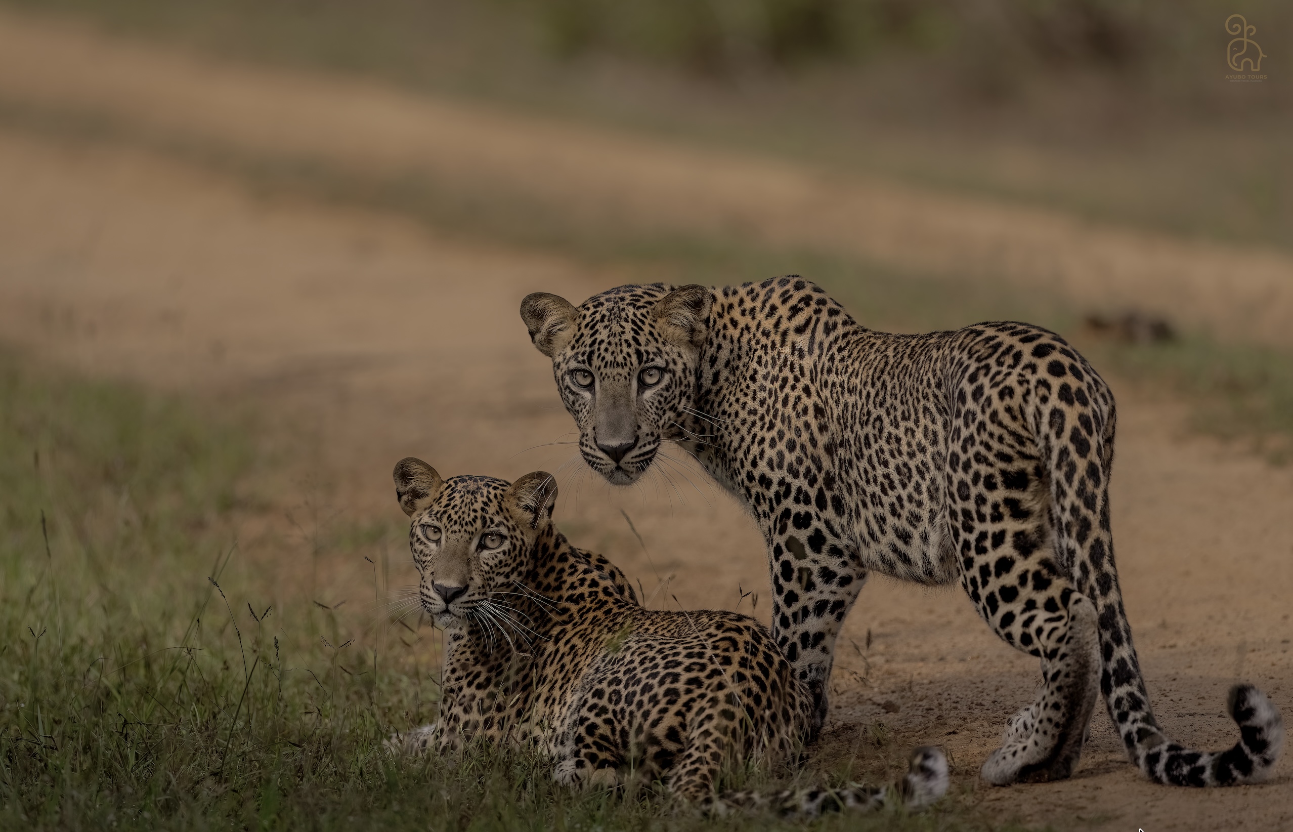 Nature and Wildlife adventures